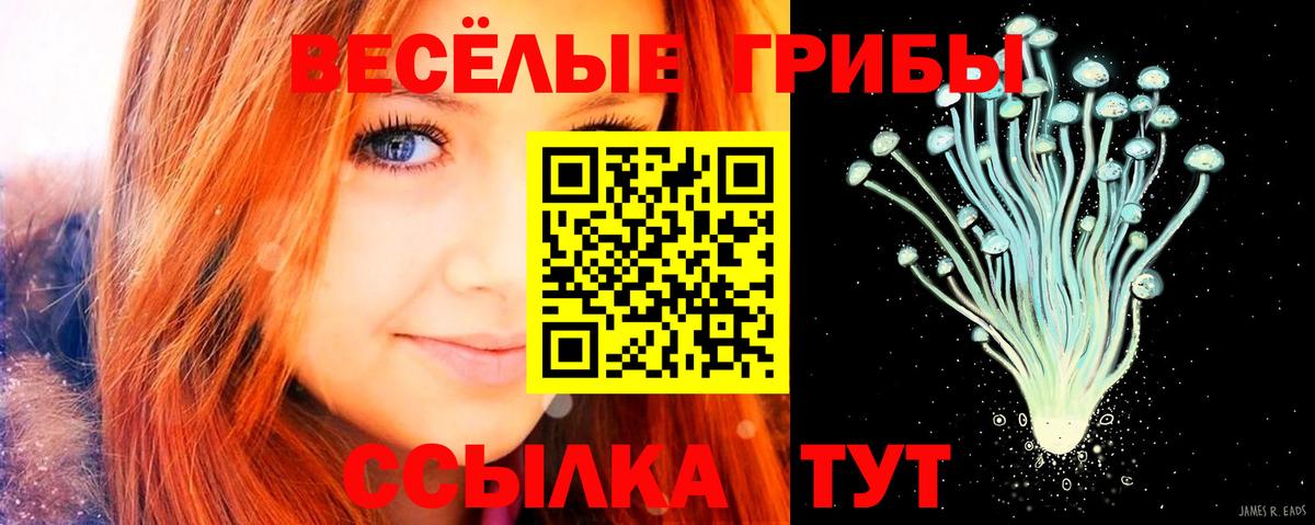Галлюциногенные грибы MAGIC MUSHROOMS Туймазы