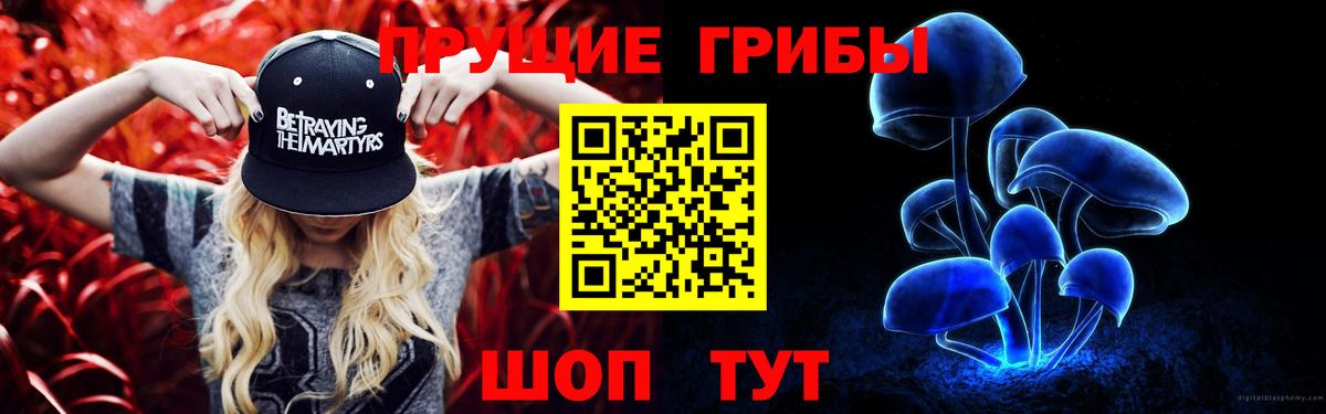 Псилоцибиновые грибы Psilocybe  Вход с VPN  Туймазы 